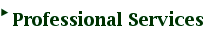 Professional Services